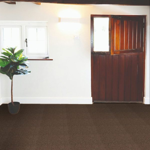 Value Carpet Tile - Brown - Image 4